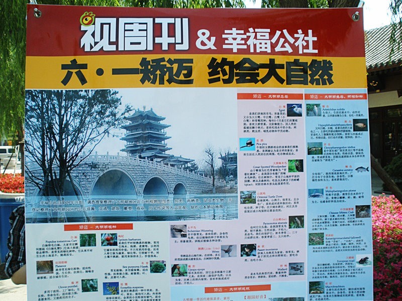 视周刊：矫迈大明湖 约会大自然 快乐向前冲 2010