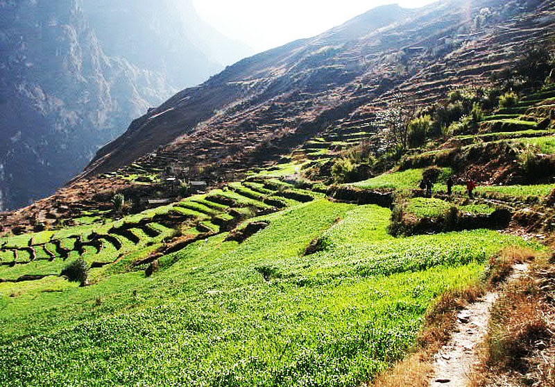 徒步|成都公社丽江虎跳峡徒步 2004