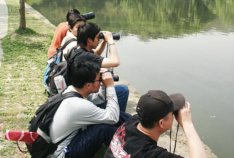 观鸟|成都公社组织新都户外观鸟活动 2004