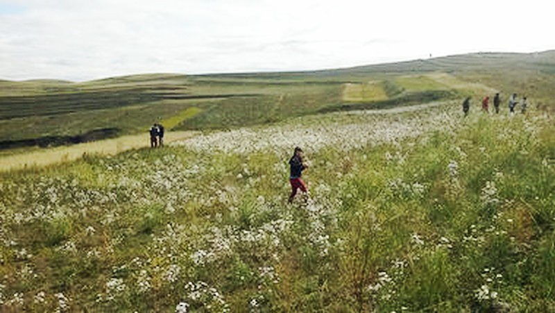 张北|幸福公社草原天路自驾游 2014