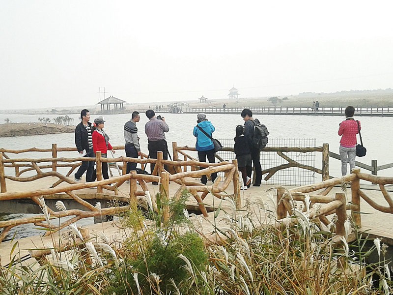 黄河口柿子沟|幸福公社深秋踏访黄河口柿子沟 2012