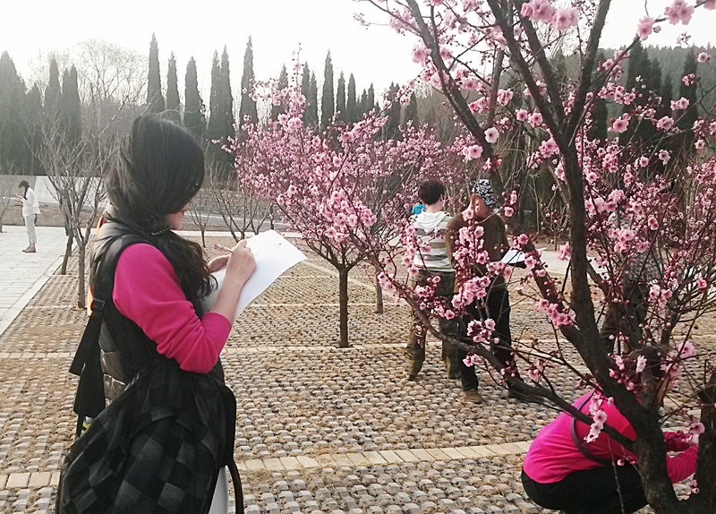 坊茨小镇|踏春自驾坊茨小镇淄川神社 2015